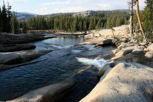 11406992_10152951321263034_6827837395099994676_n